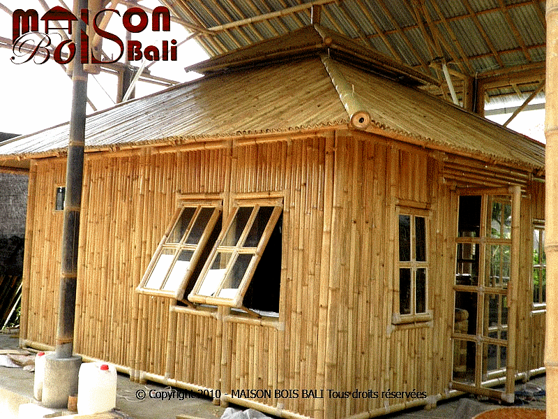 africa_afrique_forêt_forest_deforestation_sustainable__wood_bois_culture_agriculture_asia_asie_china_chine_india_inde_vietnam_laos_bali_development_architecture_house_moso_bambou_bamboo_bambu_bambusa_développement_durable_cop_21